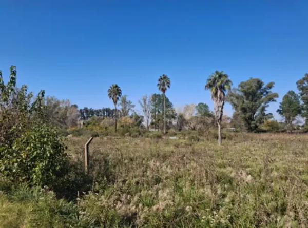 Única fracción de terreno. 8 hectáreas Acceso Oeste - Imagen 4